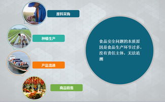 溯源系統在食品質量保障與購物系統中的關鍵作用